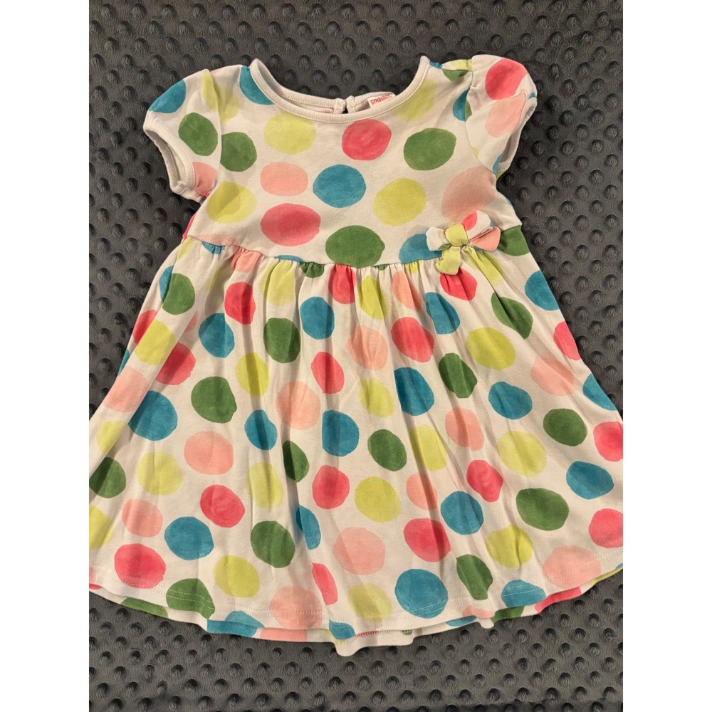 Gymboree Flower Garden Watercolor Polka Dot Dress 4 4T VGUC